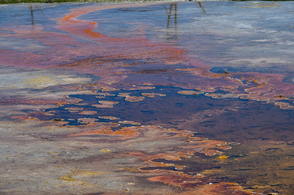 Grand Prismatic Spring                         DSC_4009-2