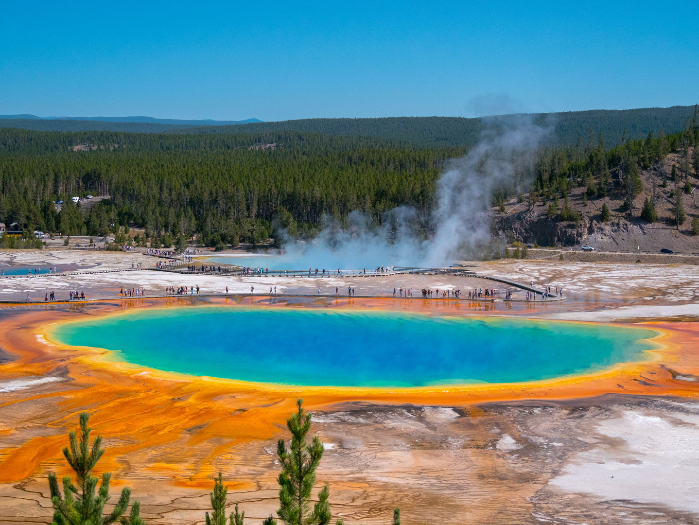 Grand Prismatic Spring im Yellowstone NP