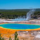 Grand Prismatic Spring im Yellowstone NP