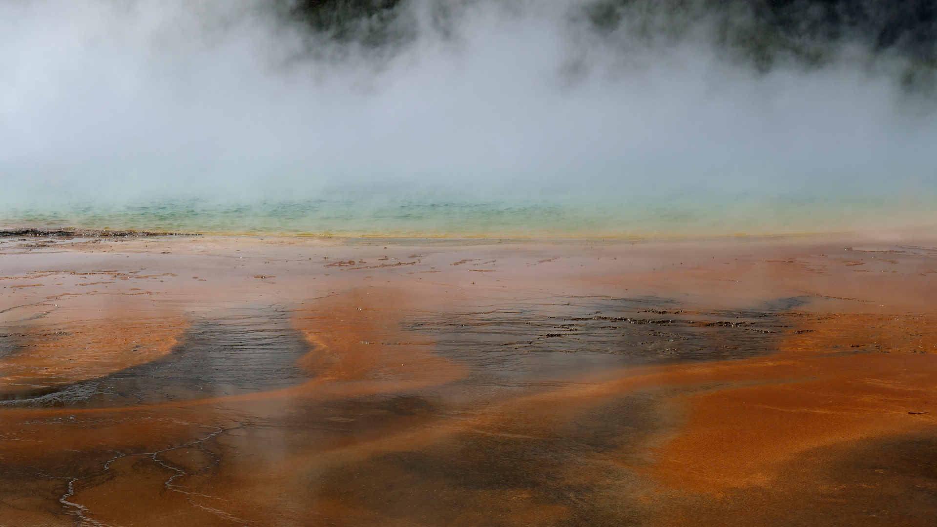 Grand Prismatic Spring im Yellowstone Park