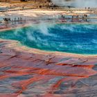 Grand Prismatic Spring Yellowstone