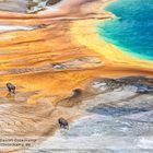 Grand Prismatic Spring Yellowstone National Park