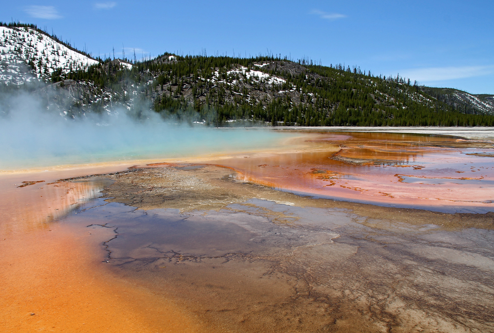 Grand Prismatic Spring, Yellowstone Park (Midway Geyser Bassin)