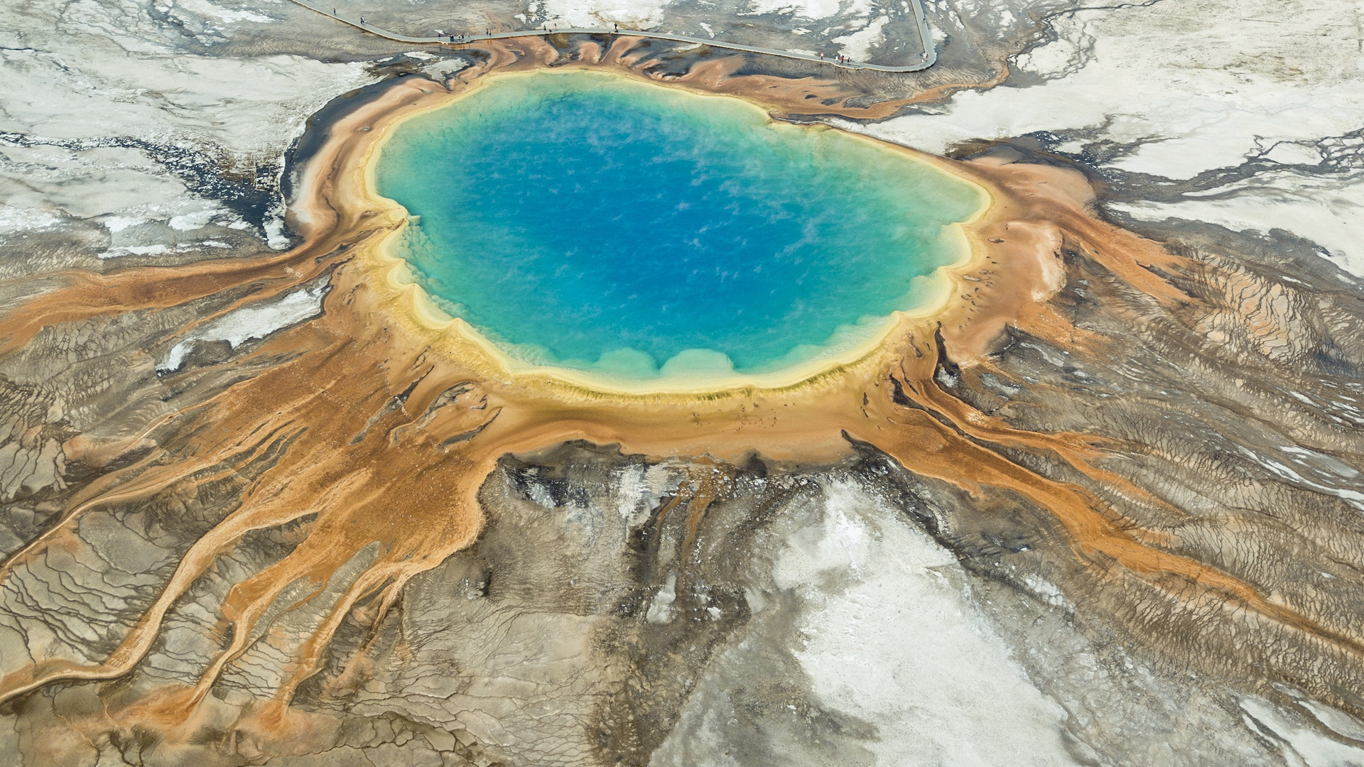 Grand Prismstik spring