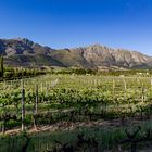 Grand Provence Heritage Wine Estate