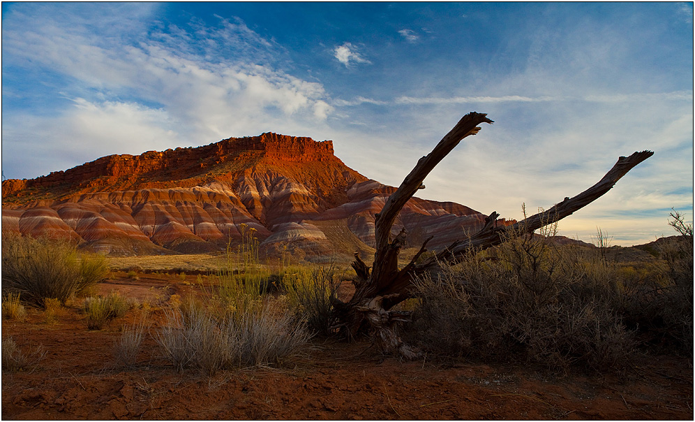 Grand Staircase Escalante