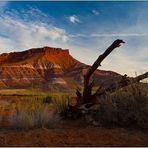 Grand Staircase Escalante