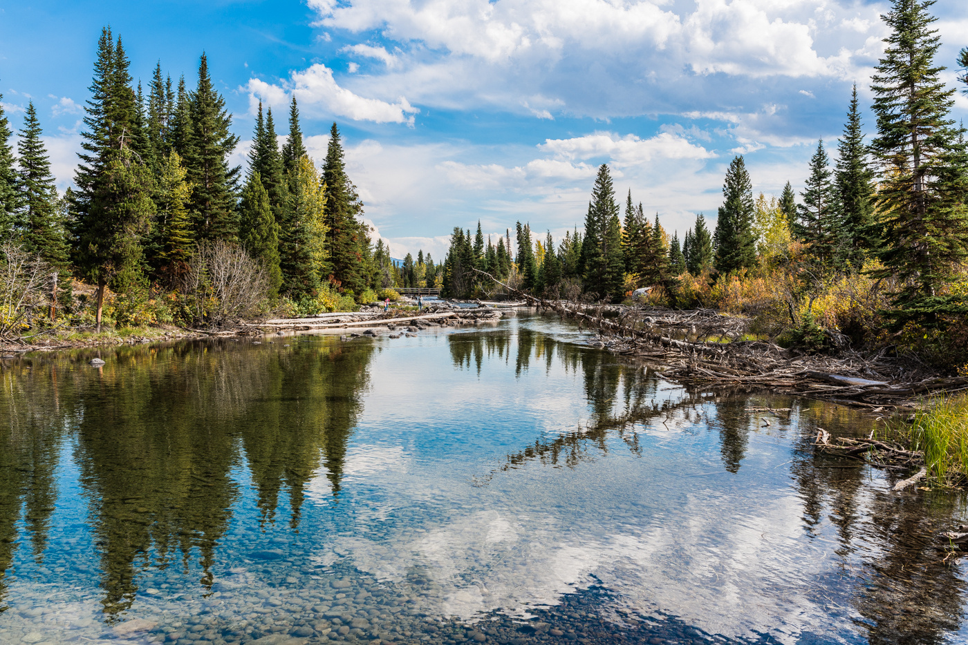 Grand Teton