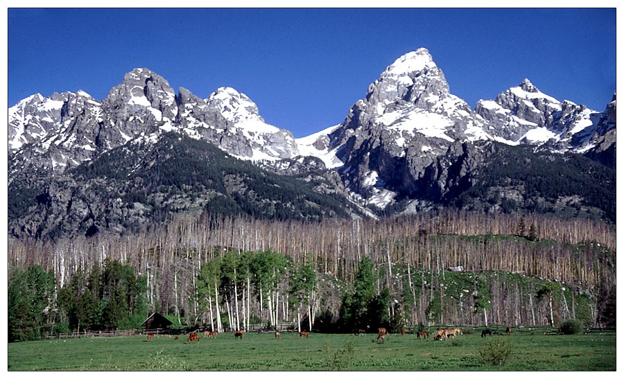 Grand Teton