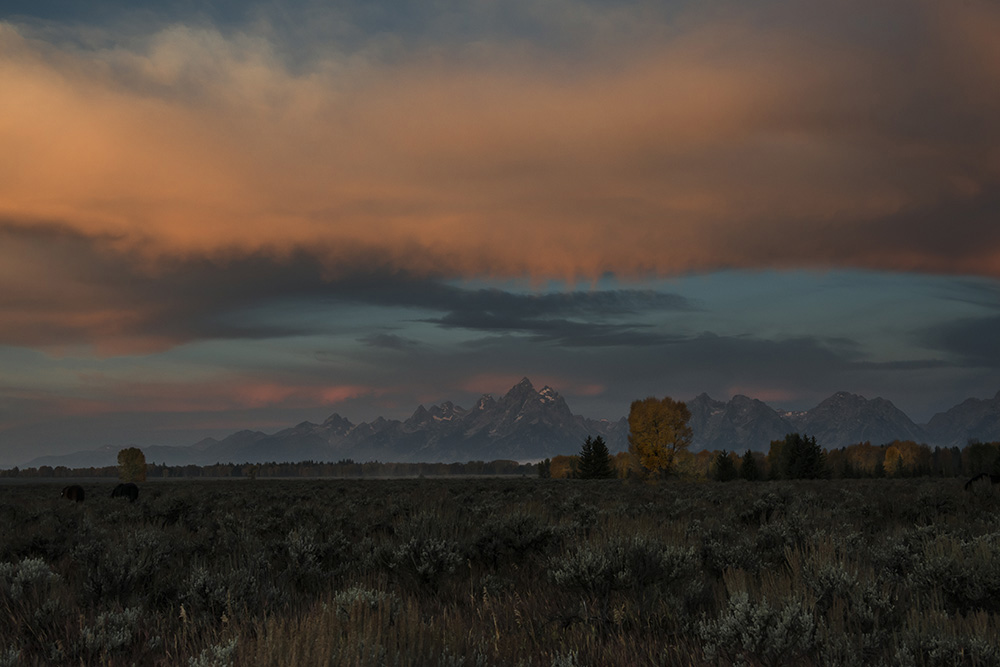 Grand Teton