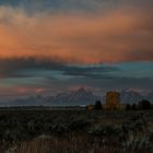 Grand Teton