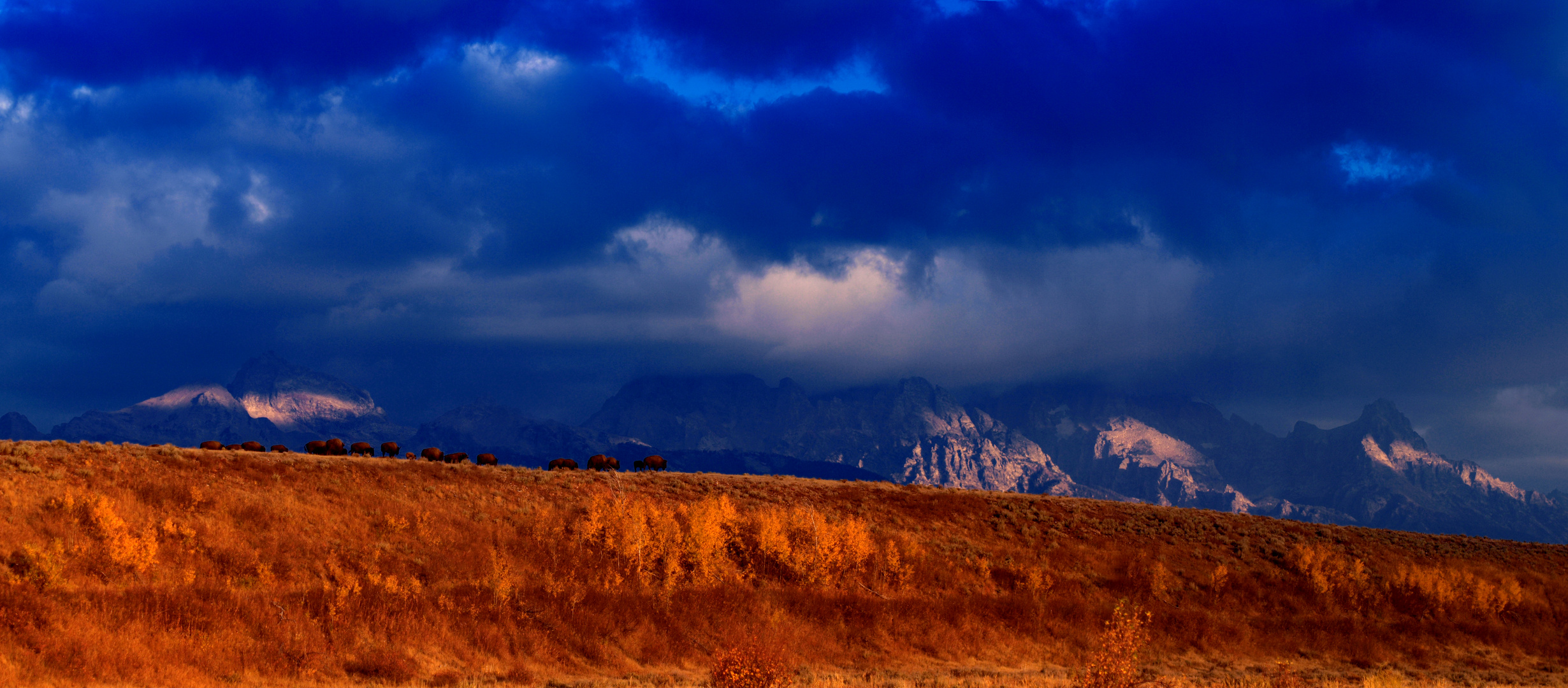 Grand Teton