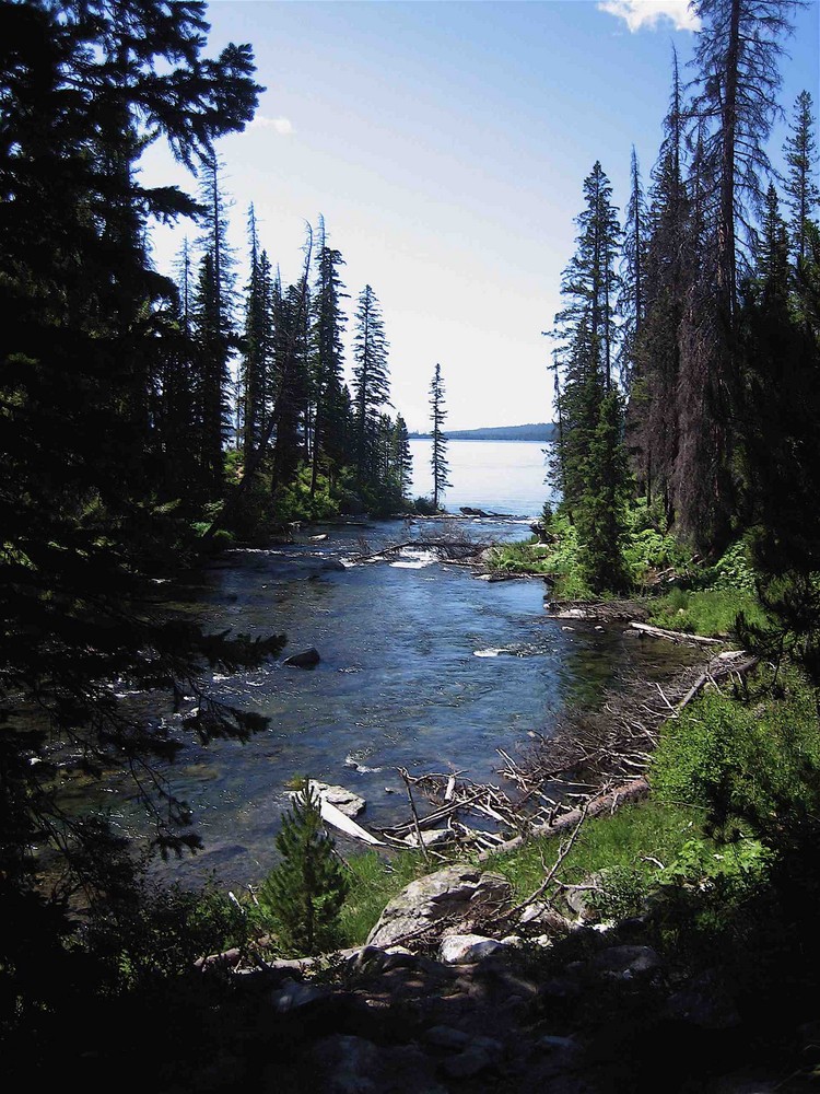 Grand Teton