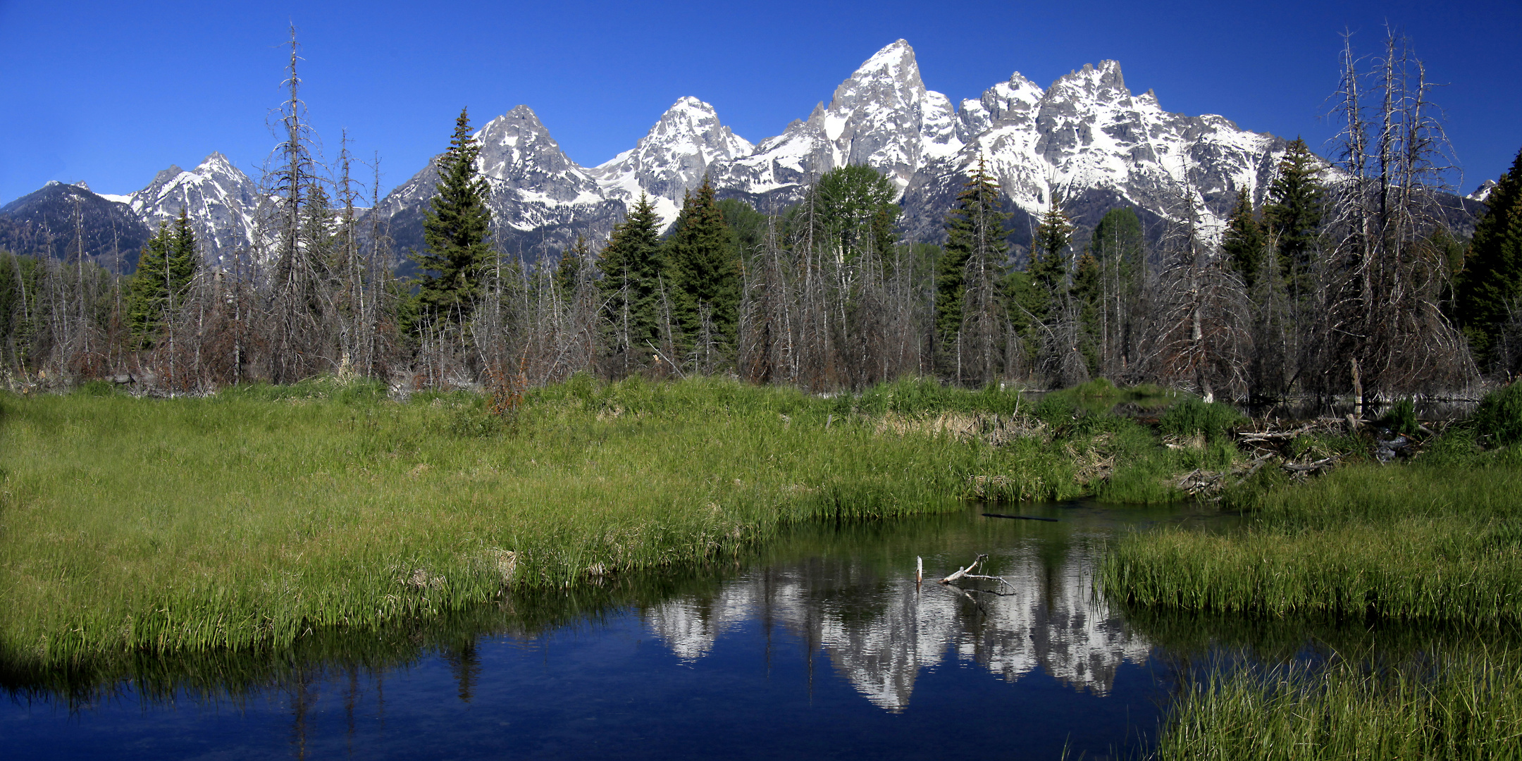 Grand Teton