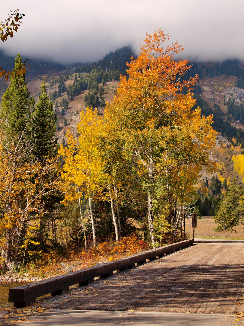 Grand Teton