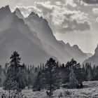 Grand Teton ... im Rauch