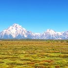 Grand Teton in the morning