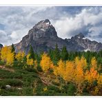 Grand Teton National Park - in Farbe