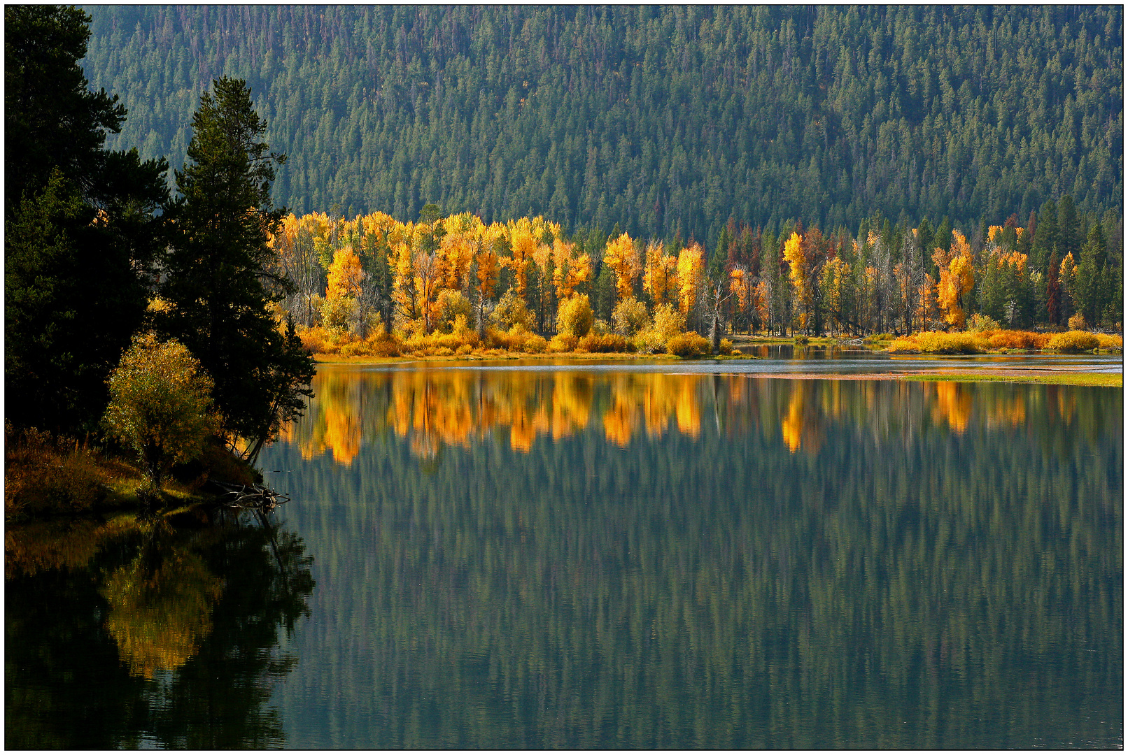 Grand Teton NP # 07