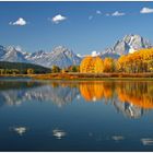 Grand Teton NP # 10