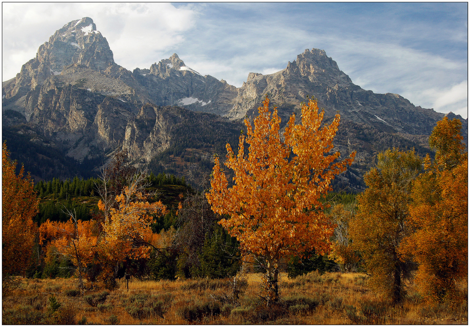 Grand Teton NP # 13