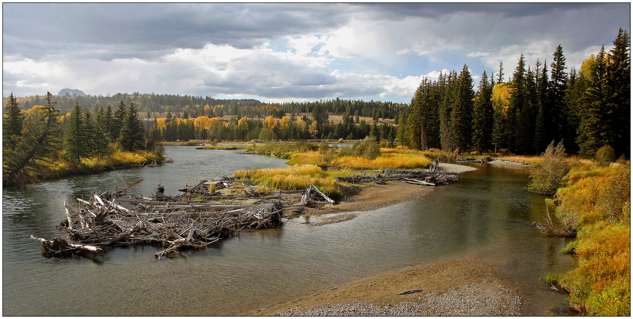 Grand Teton NP # 15