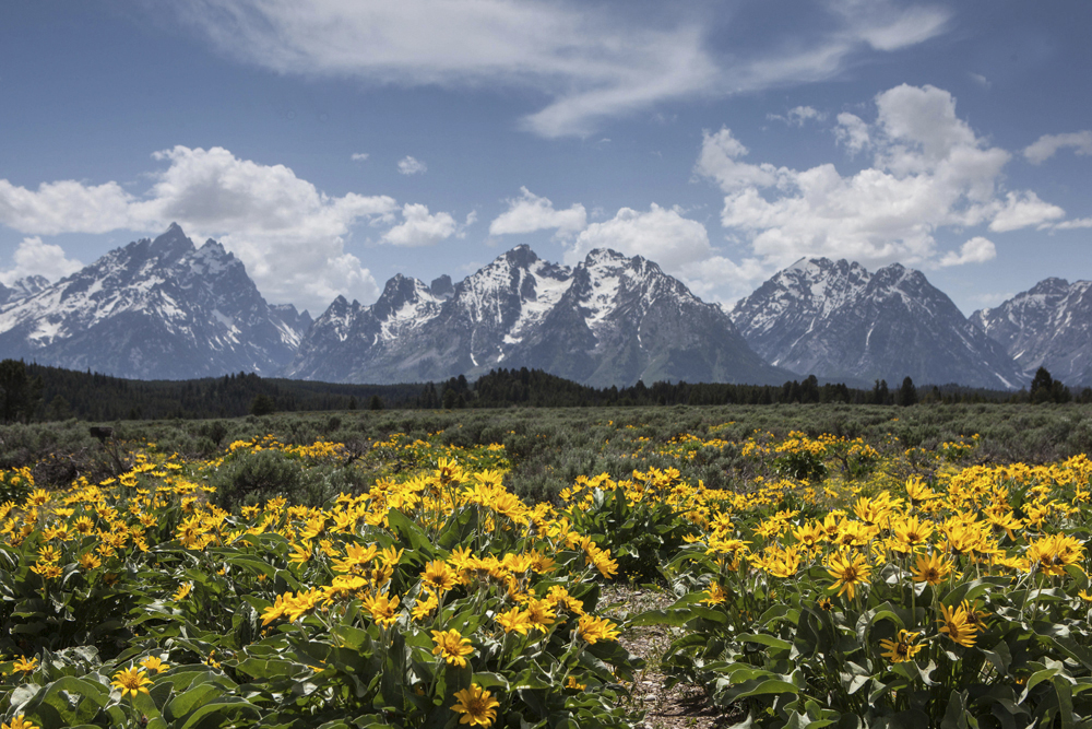 Grand Teton NP