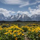 Grand Teton NP