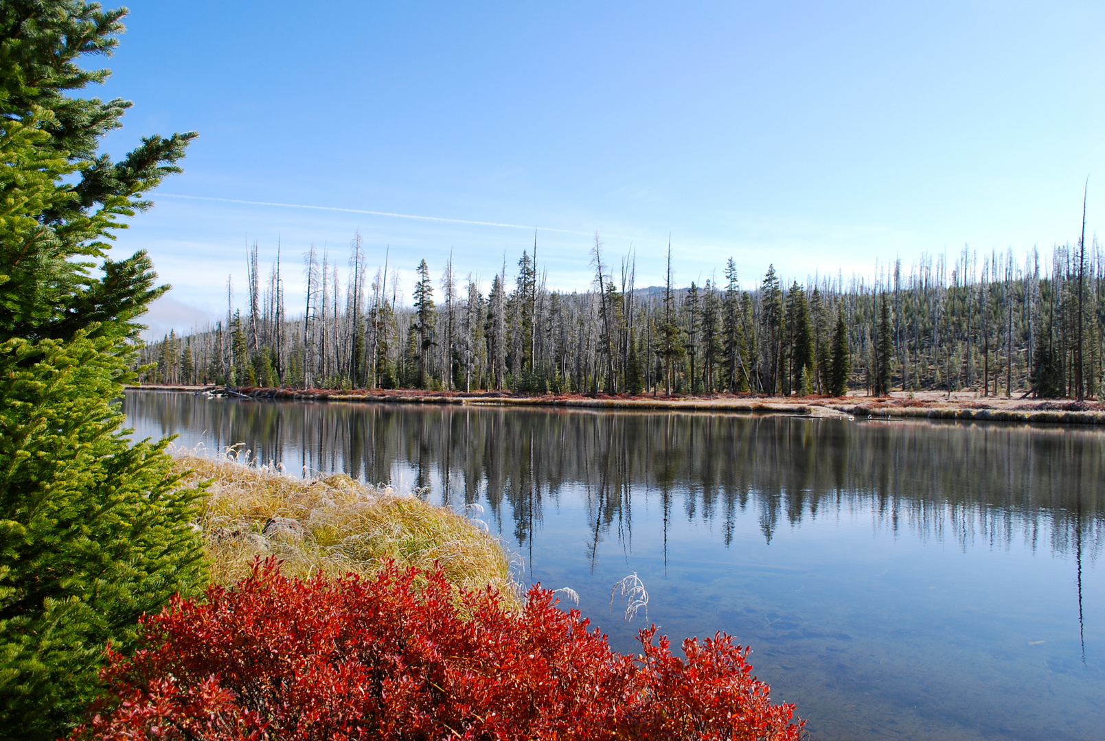 Grand Teton NP