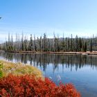 Grand Teton NP