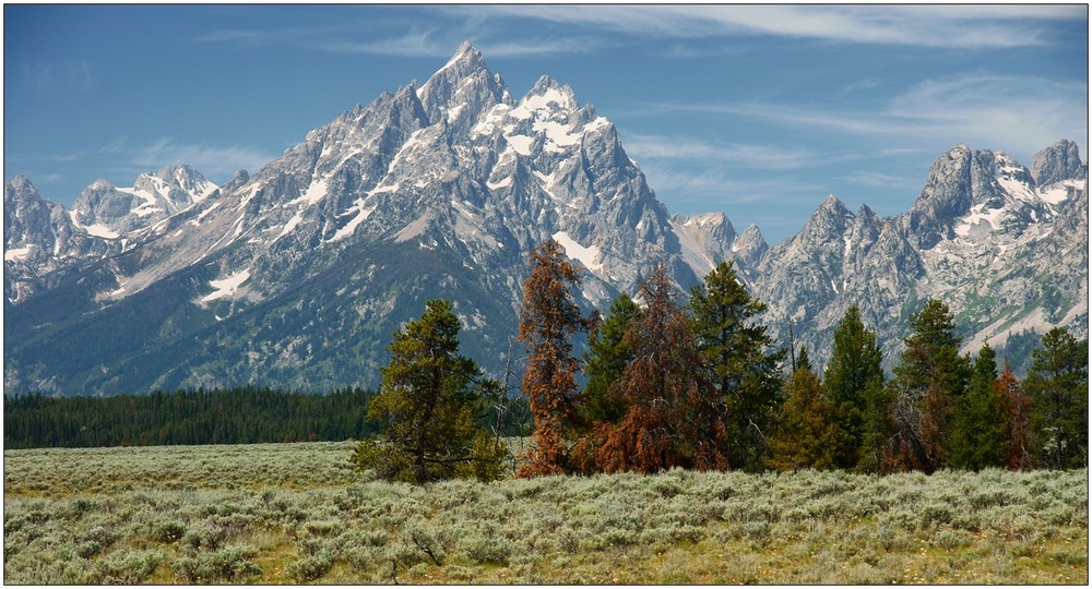 Grand Teton NP