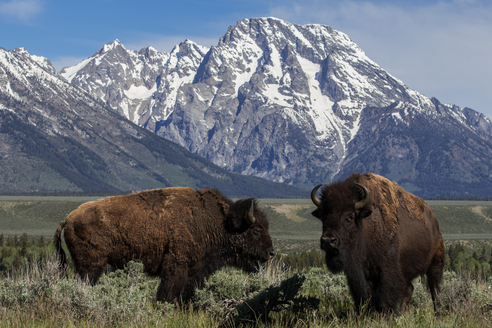 Grand Teton NP