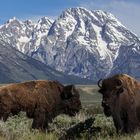 Grand Teton NP