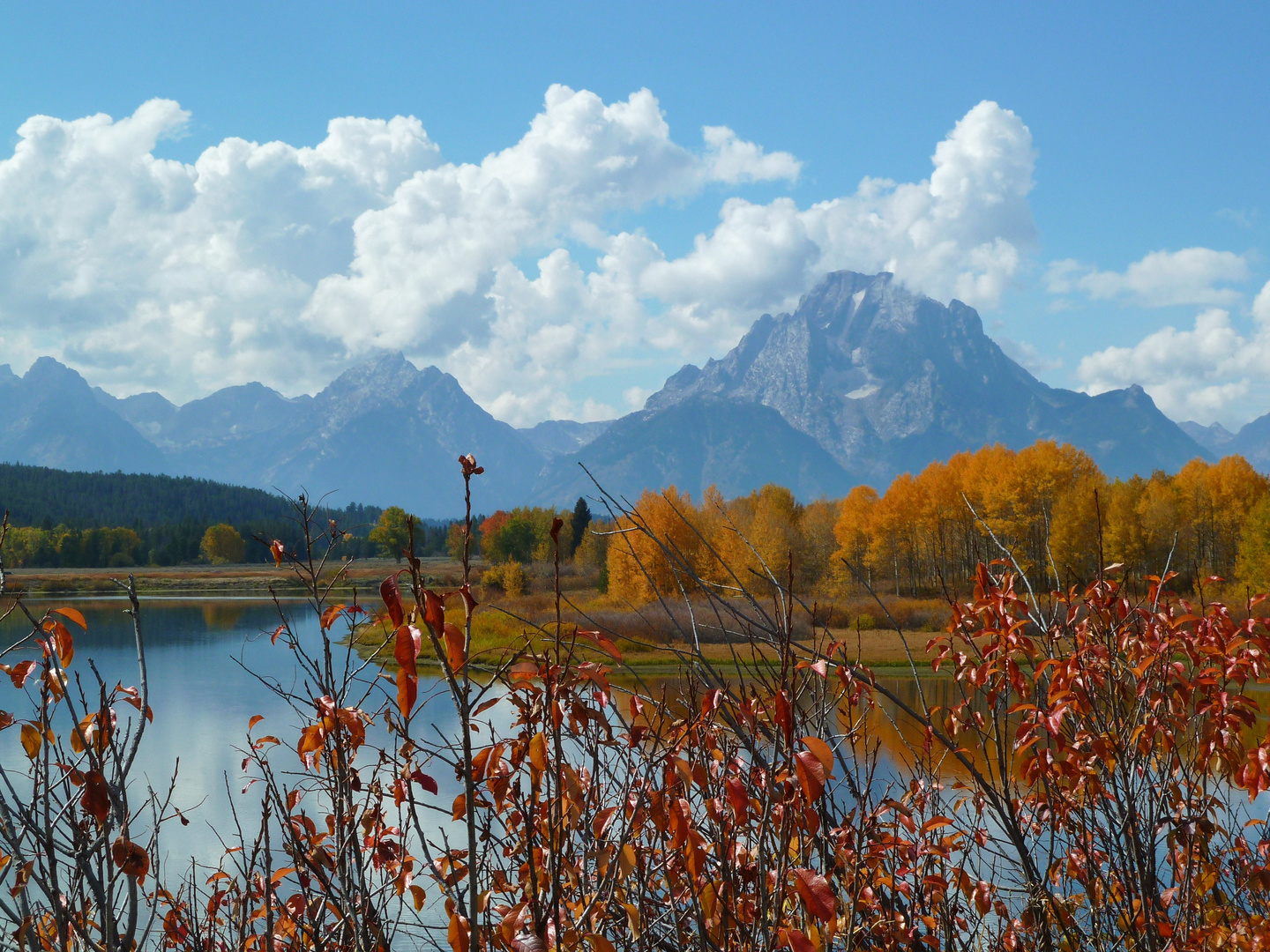 Grand Teton N.P.