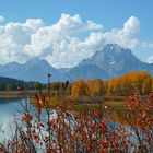 Grand Teton N.P.