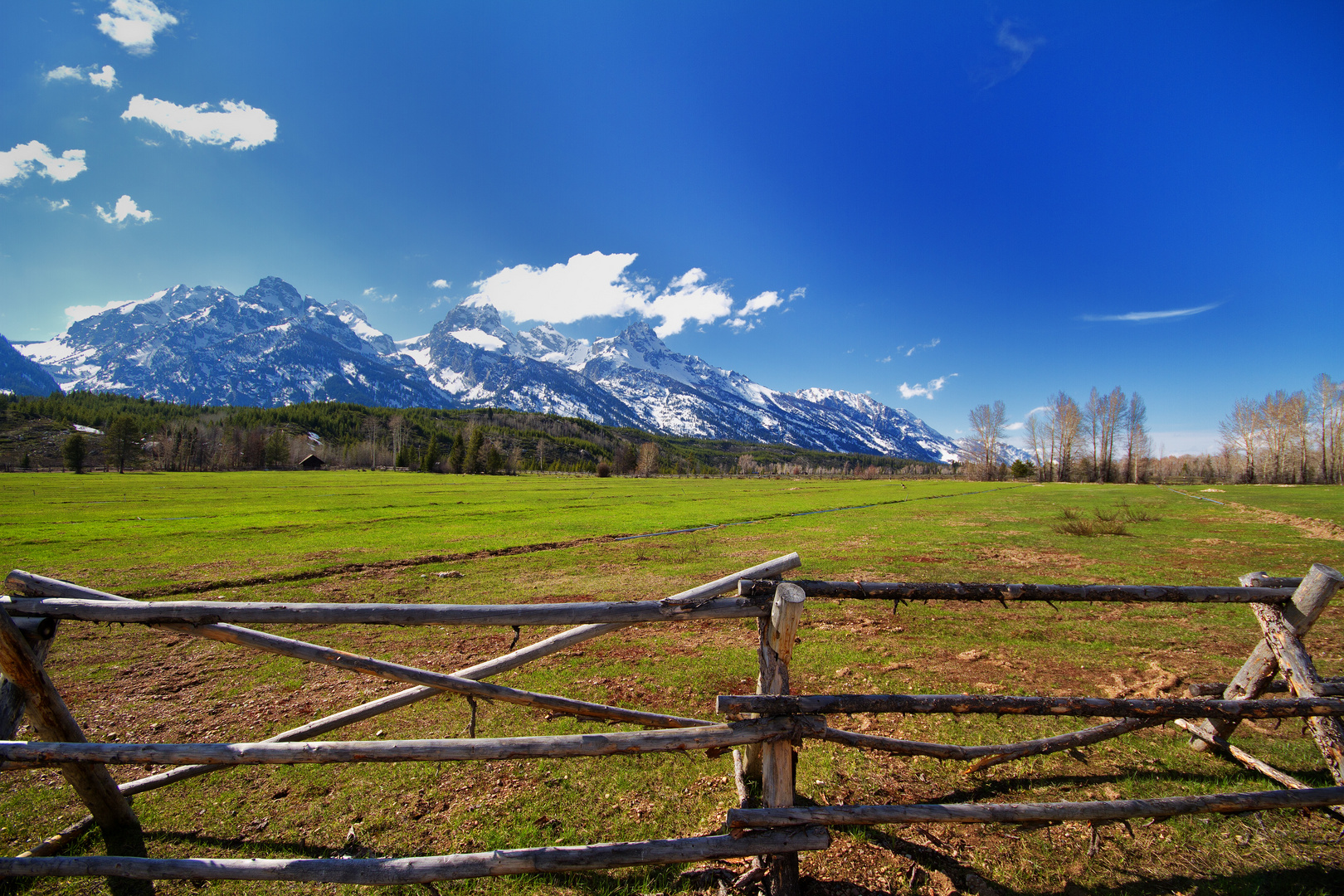 Grand Teton NP, Juni 2011