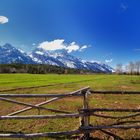 Grand Teton NP, Juni 2011