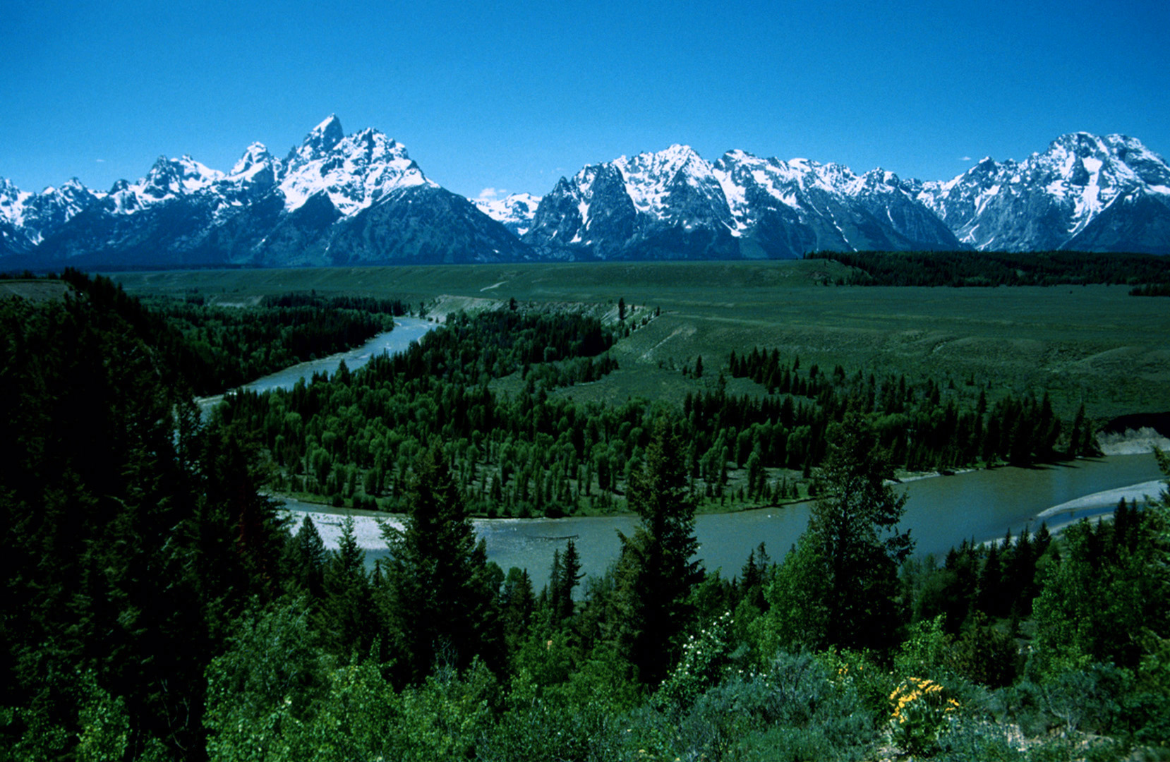 Grand Teton N.P., WY - 1993 (1)