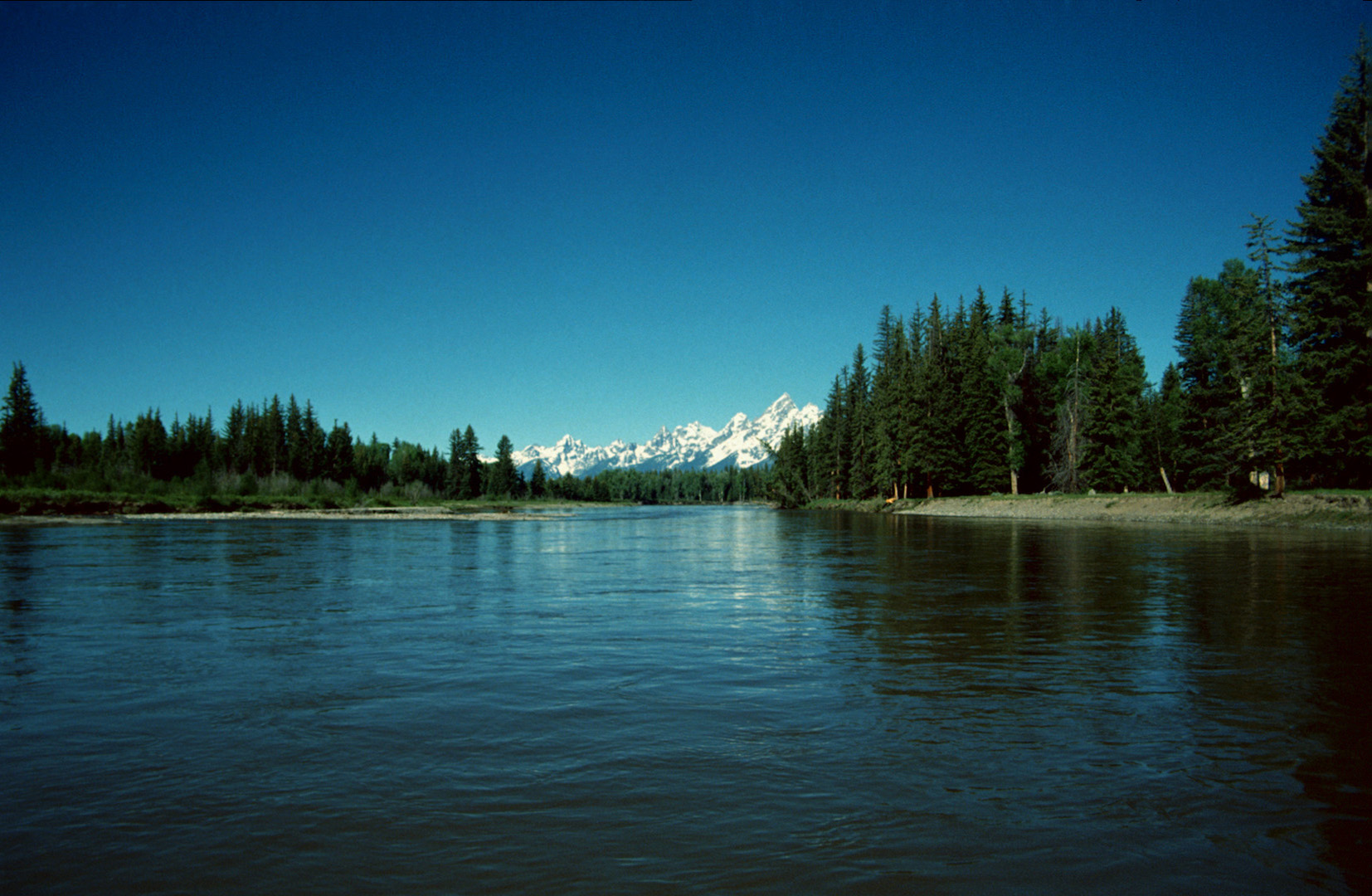 Grand Teton N.P., WY - 1993 (3)