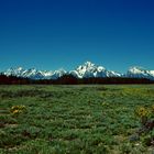 Grand Teton N.P., WY 1993 (4)