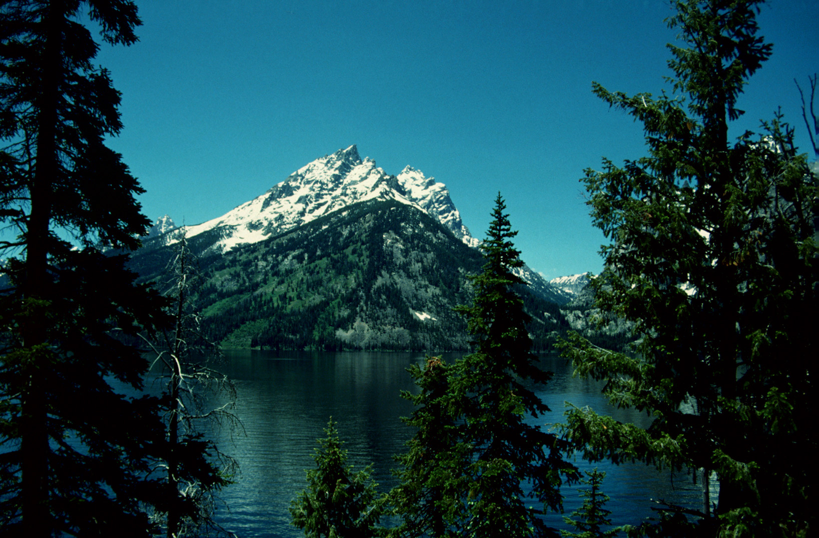 Grand Teton N.P., WY - 1993 (5)