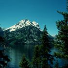 Grand Teton N.P., WY - 1993 (5)