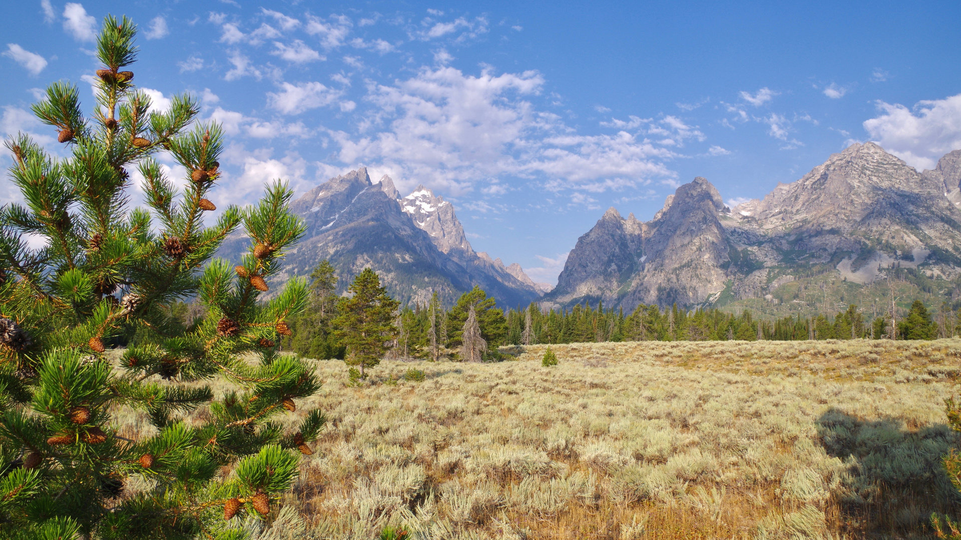 Grand Teton NP / Wyoming