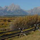 Grand Tetons