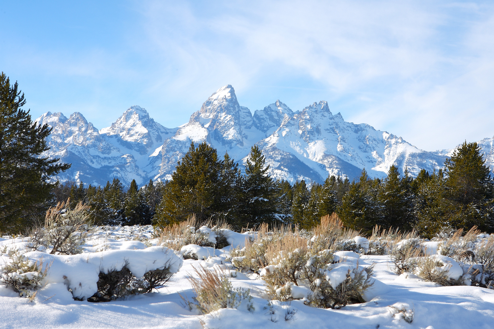 Grand Tetons im Winter