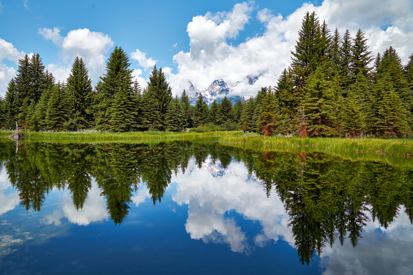 Grand Tetons in the mirror