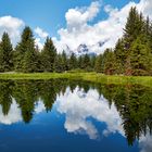 Grand Tetons in the mirror