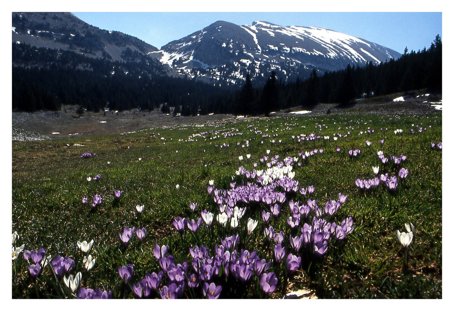 Grand Veymont