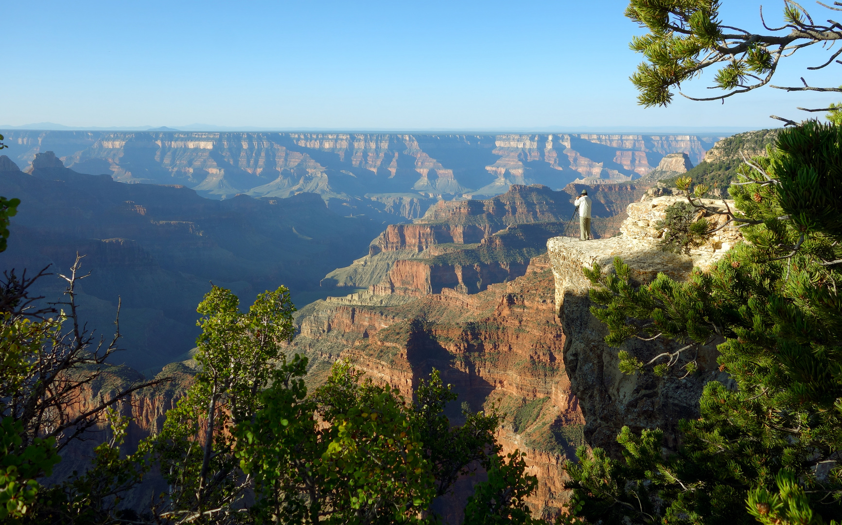 grand view-point