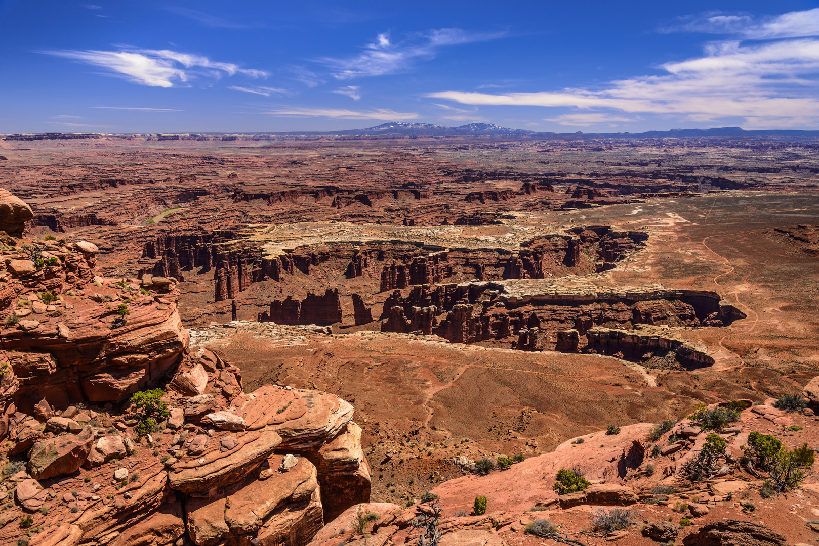 Grand View Point, Canyonlands, Utah, USA Foto & Bild colorado river
